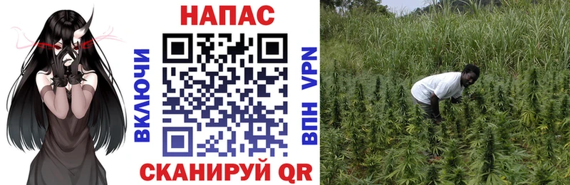 А ПВП Полярный